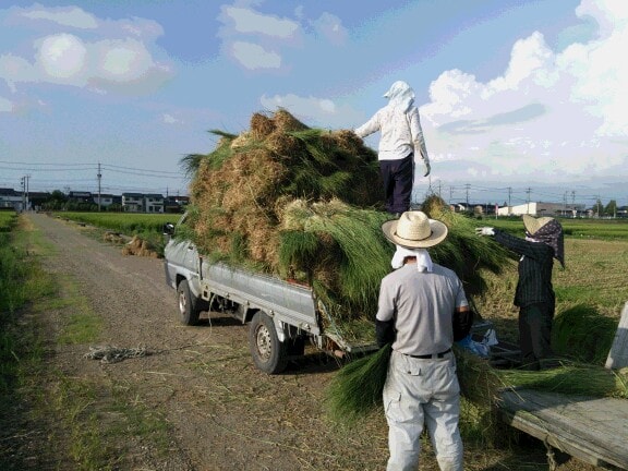しめ縄職人求人募集|〆飾り工房越野の画像4